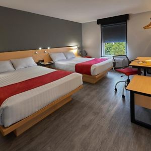Double Room Two Double Beds